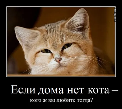 Якщо вдома немає кота- вірші про кішок, привітання з роком кота- іронічні вірші- такая_но_не_фся- (самотньо кота Статевозрілою) Якщо вдома немає кота- вірші про кішок, привітання з роком кота- іронічні вірші- такая_но_не_фся-
