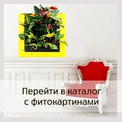 Фітолайф - стаття - види систем вертикального озеленення (озеленення) Фітолайф - стаття - види систем вертикального озеленення