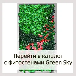 Фітолайф - стаття - види систем вертикального озеленення (фітокартіна) Фітолайф - стаття - види систем вертикального озеленення