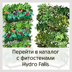 Фітолайф - стаття - види систем вертикального озеленення (фітолайф) Фітолайф - стаття - види систем вертикального озеленення