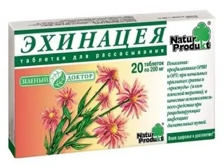 Ехінацея для імунітету особливості застосування, приготування цілющих засобів в домашніх умовах (імунітету) Ехінацея для імунітету особливості застосування, приготування цілющих засобів в домашніх умовах