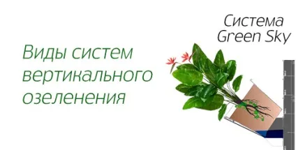 Фітолайф - стаття - види систем вертикального озеленення (озеленення) Фітолайф - стаття - види систем вертикального озеленення