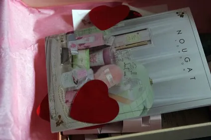 Лютневі glambox і ellebox, vpencilbox (ellebox) Лютневі glambox і ellebox, vpencilbox