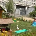 Фотозвіт «дизайн приміщень дитячого садка» (конспекти занять) Фотозвіт «дизайн приміщень дитячого садка»