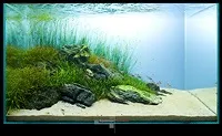 фотографування акваріума
