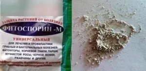 Фітоспорін-м - інструкція із застосування препарату (Фітоспорін м застосування гідності застереження) Фітоспорін-м - інструкція із застосування препарату