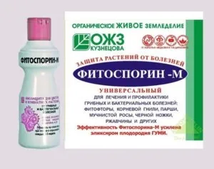 Фітоспорін-м - інструкція із застосування препарату (Фітоспорін м застосування гідності застереження) Фітоспорін-м - інструкція із застосування препарату