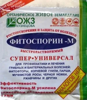Фітоспорін-м - інструкція із застосування препарату (Фітоспорін м застосування гідності застереження) Фітоспорін-м - інструкція із застосування препарату