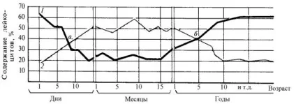 фізіологія крові