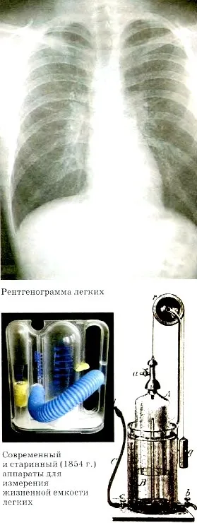 Газообмін у легенях і тканинах (Діяльністю дихальної системи) Газообмін у легенях і тканинах