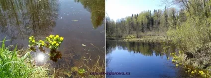 Де бере початок волга, де її витік в Волговерховье! (Витік) Де бере початок волга, де її витік в Волговерховье!