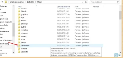 Де знаходяться скріншоти і гри в папці steam (steam) Де знаходяться скріншоти і гри в папці steam