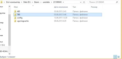 Де знаходяться скріншоти і гри в папці steam (папці) Де знаходяться скріншоти і гри в папці steam