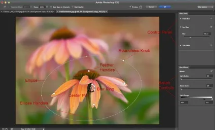 Галерея фільтрів розмиття в photoshop cs6 · «світ фотошопа» (створення ефектів) Галерея фільтрів розмиття в photoshop cs6 · «світ фотошопа»