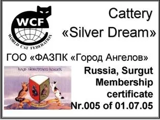 Головна - silver dream