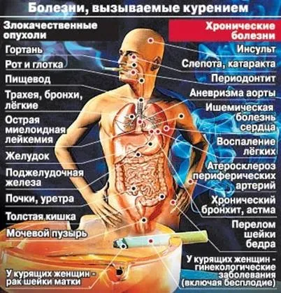Гігієна серцево-судинної системи