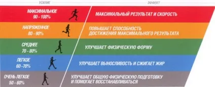 Гід по кардіотреніровки кому, навіщо, скільки, коли - зожнік (Кращий спосіб схуднути) Гід по кардіотреніровки кому, навіщо, скільки, коли - зожнік