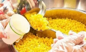 Гаряча кукурудза - бізнес на відкритті торгової точки (торгової) Гаряча кукурудза - бізнес на відкритті торгової точки