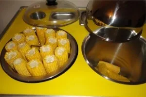 Гаряча кукурудза - бізнес на відкритті торгової точки (торгової) Гаряча кукурудза - бізнес на відкритті торгової точки