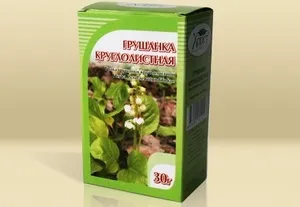 Грушанка в гінекології від чого лікує ця трава (грушанка гінекологія відгуки безпліддя застосування трава) Грушанка в гінекології від чого лікує ця трава