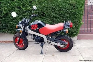 Honda monkey жива легенда