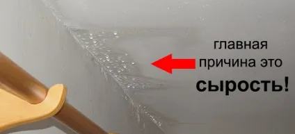 Грибок у ванній на стелі як прибрати своїми руками, фото і відео інструкція (своїми) Грибок у ванній на стелі як прибрати своїми руками, фото і відео інструкція