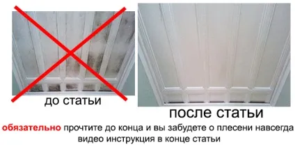 Грибок у ванній на стелі як прибрати своїми руками, фото і відео інструкція (грибок) Грибок у ванній на стелі як прибрати своїми руками, фото і відео інструкція