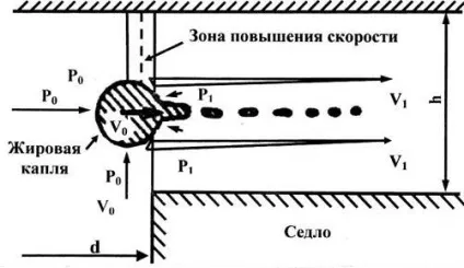 Гомогенізація молочної сировини