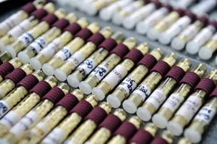 Гомеопатія при простатиті загальні принципи лікування і препарати (гомеопатія) Гомеопатія при простатиті загальні принципи лікування і препарати