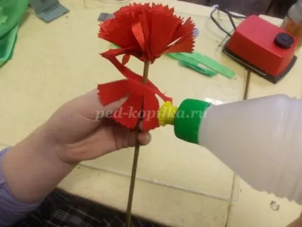 Гвоздики своїми руками