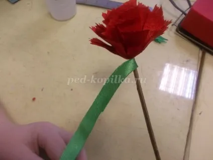 Гвоздики своїми руками