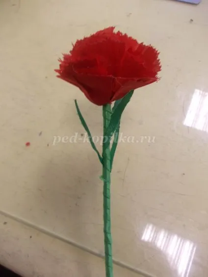 Гвоздики своїми руками