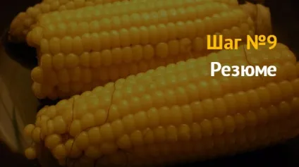Ідея бізнесу торгівля вареною кукурудзою - відмінний бізнес для новачка (кукурудзою) Ідея бізнесу торгівля вареною кукурудзою - відмінний бізнес для новачка