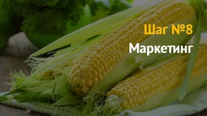 Ідея бізнесу торгівля вареною кукурудзою - відмінний бізнес для новачка (бізнес) Ідея бізнесу торгівля вареною кукурудзою - відмінний бізнес для новачка