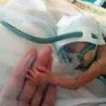 Інтерактивна дошка для дітей дошкільного віку, її користь (віку) Інтерактивна дошка для дітей дошкільного віку, її користь