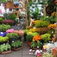 Інструкції по кроках як бізнес відкрити в торгівлі з вкладеннями від 90 000 рублів (відкрити) Інструкції по кроках як бізнес відкрити в торгівлі з вкладеннями від 90 000 рублей