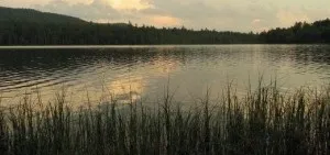 Використання гачків з пружиною для вудіння малоактивною риби »(малоактивною) Використання гачків з пружиною для вудіння малоактивною риби »