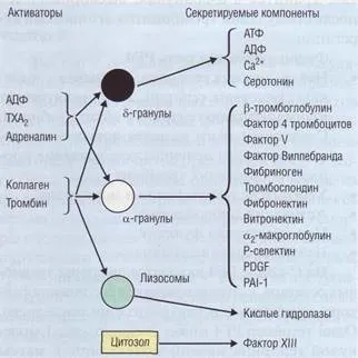 Інтегріни - студопедія