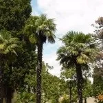 Парк «Рів'єра» в Первомайськ фото, відео, на карті, відгуки (сочи) Парк «Рів'єра» в Первомайськ фото, відео, на карті, відгуки