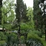 Парк «Рів'єра» в Первомайськ фото, відео, на карті, відгуки (рів'єра) Парк «Рів'єра» в Первомайськ фото, відео, на карті, відгуки