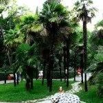 Парк «Рів'єра» в Первомайськ фото, відео, на карті, відгуки (парк рів'єра в сочи) Парк «Рів'єра» в Первомайськ фото, відео, на карті, відгуки