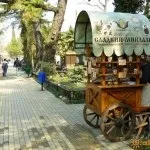 Парк «Рів'єра» в Первомайськ фото, відео, на карті, відгуки (парк рів'єра в сочи) Парк «Рів'єра» в Первомайськ фото, відео, на карті, відгуки