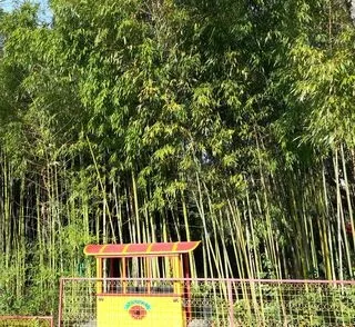 Парки та дендропарки сочи