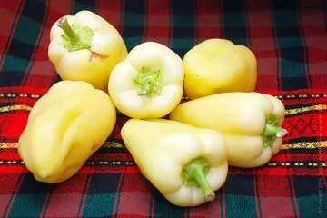 Перець фарширований куркою і рисом тушкований