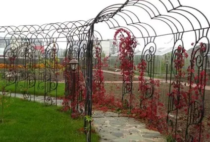 Пергола для витких рослин - фото, як зробити, ціни (Пергола витких рослин) Пергола для витких рослин - фото, як зробити, ціни