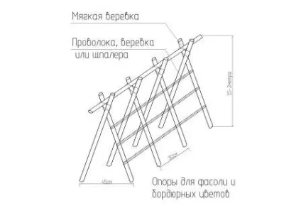 Пергола для витких рослин - фото, як зробити, ціни (фото) Пергола для витких рослин - фото, як зробити, ціни