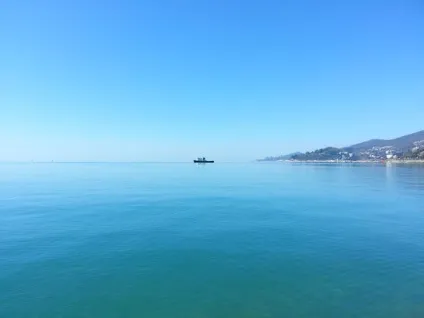 Парки та дендропарки сочи