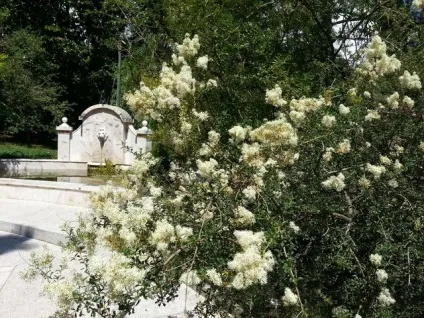 Парки та дендропарки сочи