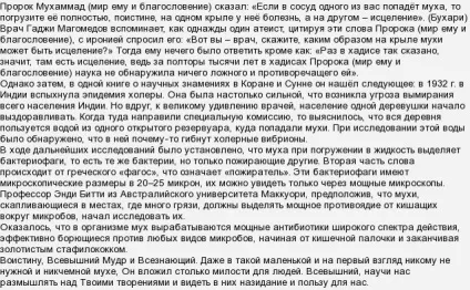 Навіщо потрібні мухи (потрібні) Навіщо потрібні мухи