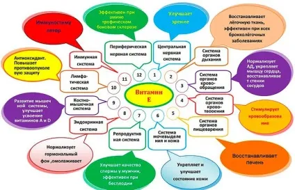 Навіщо вітамін е для вагітних (вагітним призначають вітамін) Навіщо вітамін е для вагітних